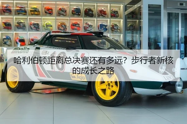 ha-li-bo-dun-ju-li-zong-jue-sai-hai-you-duo-yuan-bu-xing-zhe-xin-he-de-cheng-zhang-zhi-lu-2-471.jpg